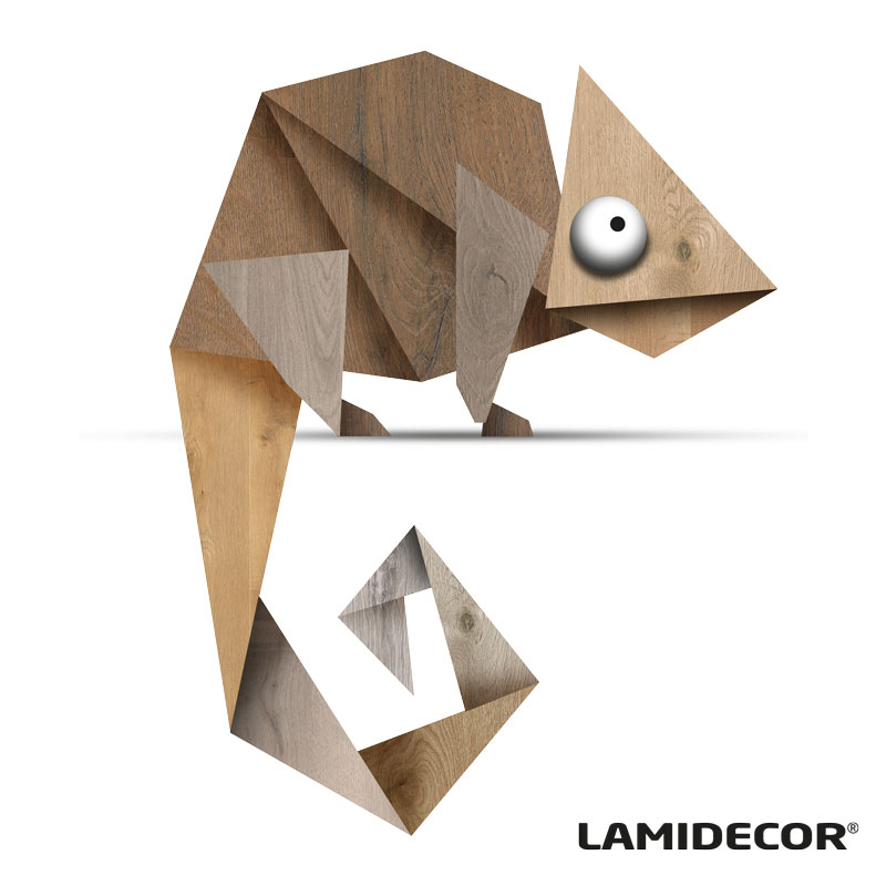 Caméléon Lamidecor